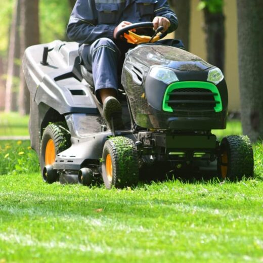 Guide Des Plantations P Riodes Et Calendrier Des Semis Atep