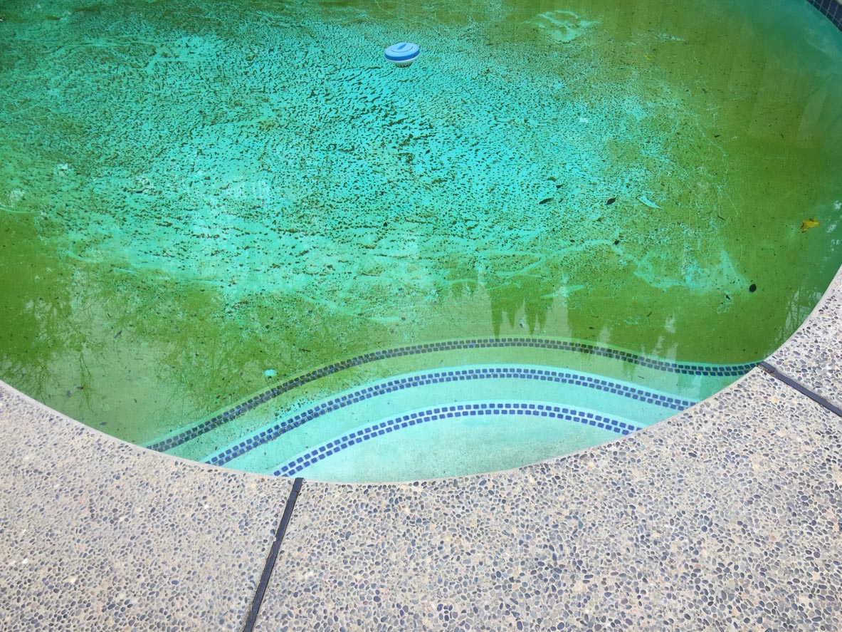 La piscine de l'eau Sale algue